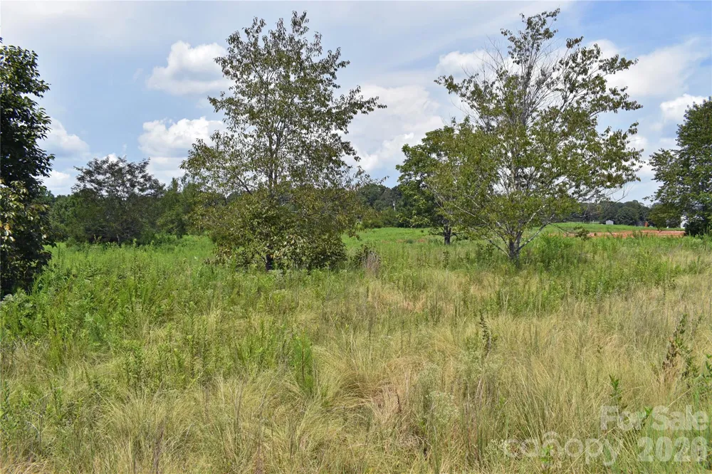 60 Malden Court Crouse, NC 28033