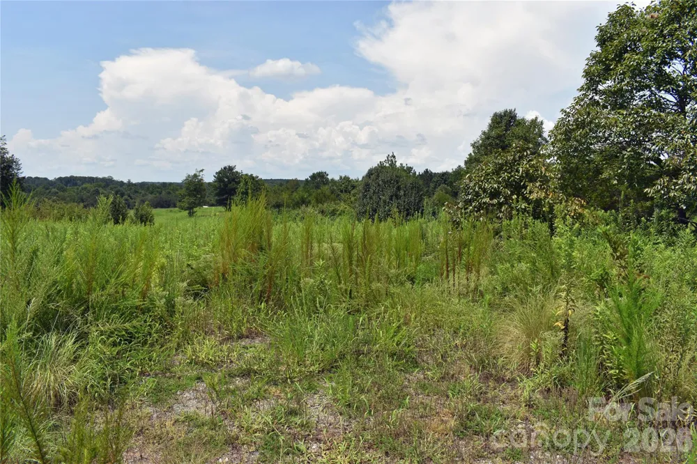 60 Malden Court Crouse, NC 28033