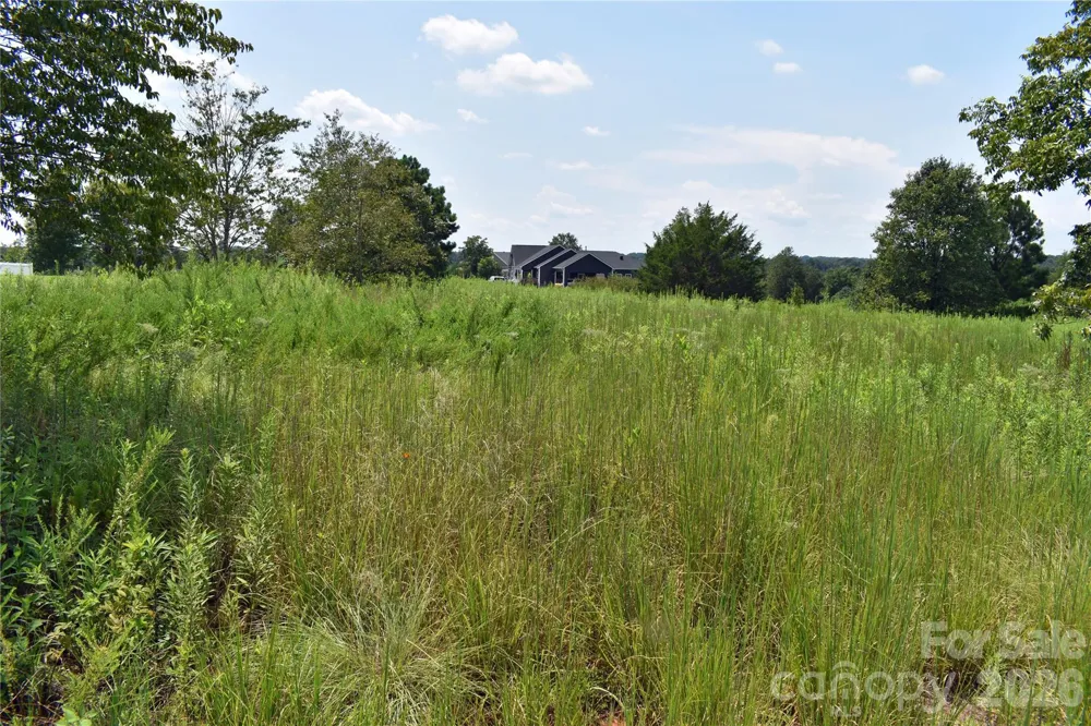 60 Malden Court Crouse, NC 28033