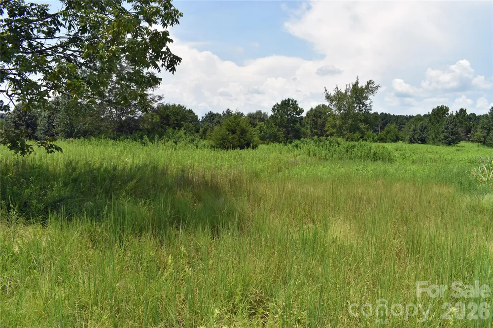 60 Malden Court Crouse, NC 28033