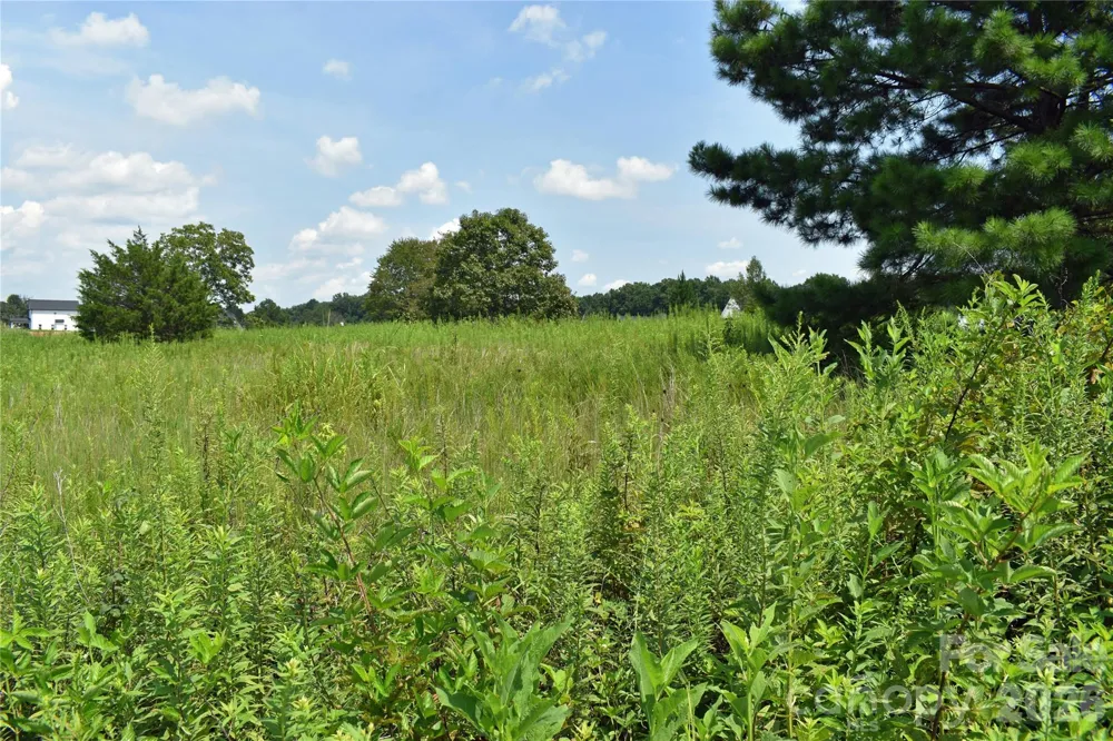 60 Malden Court Crouse, NC 28033
