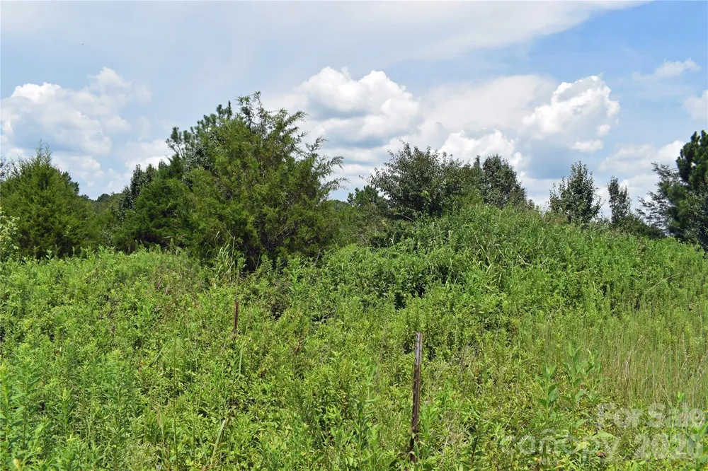 60 Malden Court Crouse, NC 28033