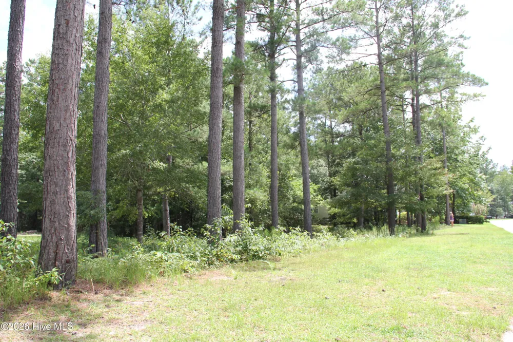 653 Ashbury Drive SE Bolivia, NC 28422