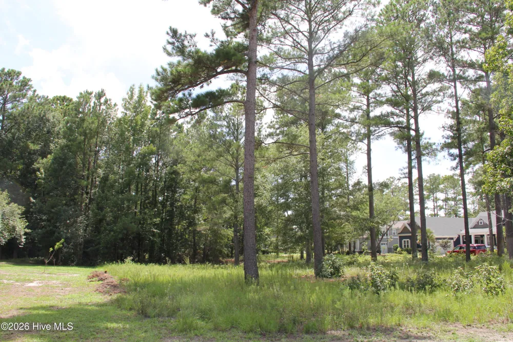653 Ashbury Drive SE Bolivia, NC 28422