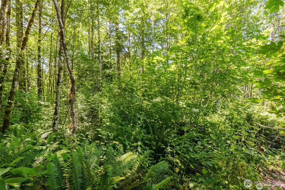 11 Lot Cassie Place NW Poulsbo, WA 98370