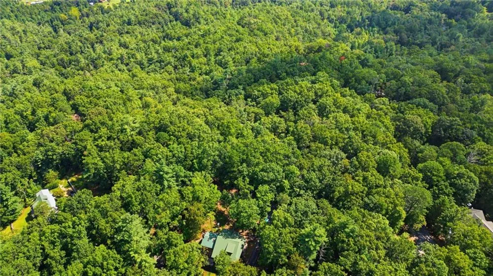 39 Brenary Drive Lakemont, GA 30552