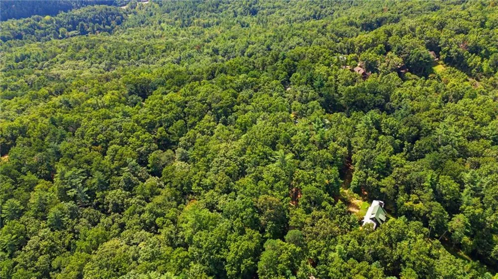 39 Brenary Drive Lakemont, GA 30552