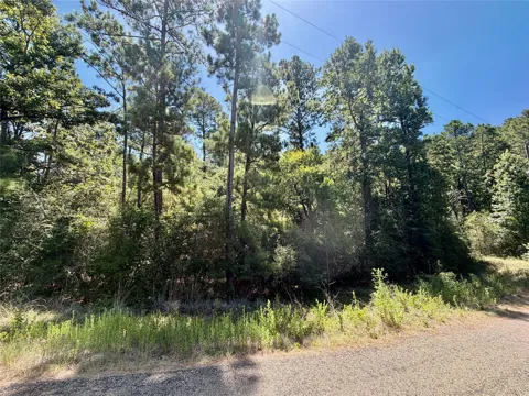 Lori Drive