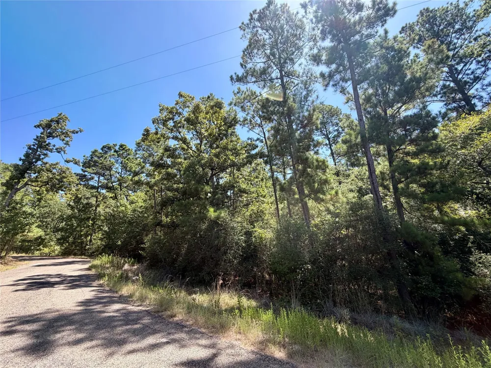 Lori Drive Trinity, TX 75862