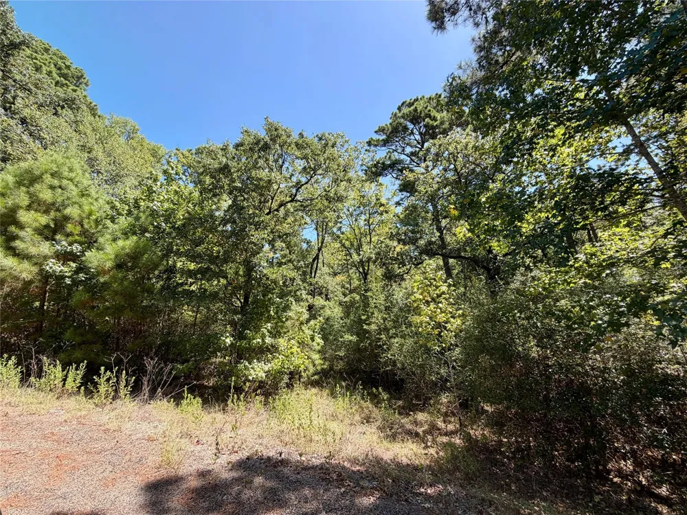 Lori Drive Trinity, TX 75862