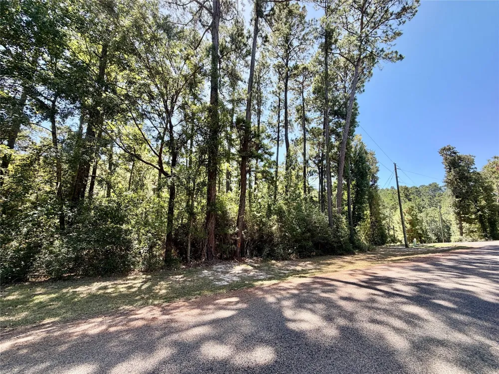 Lori Drive Trinity, TX 75862