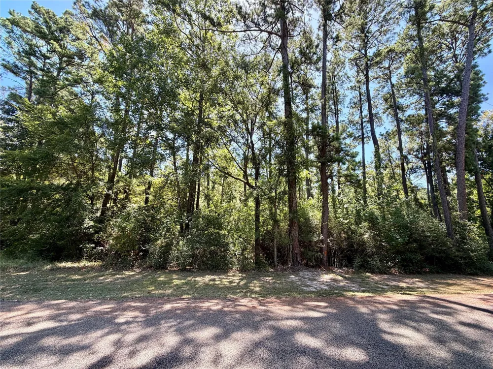 Lori Drive Trinity, TX 75862