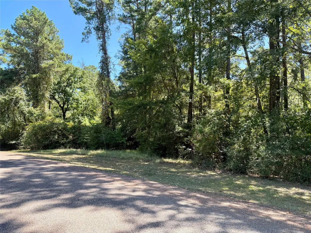 Lori Drive Trinity, TX 75862