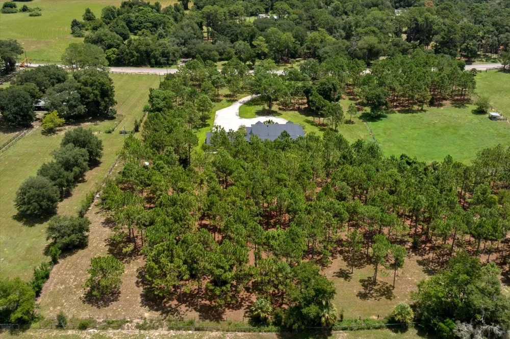 5208 EFFIE DRIVE Apopka, FL 32712