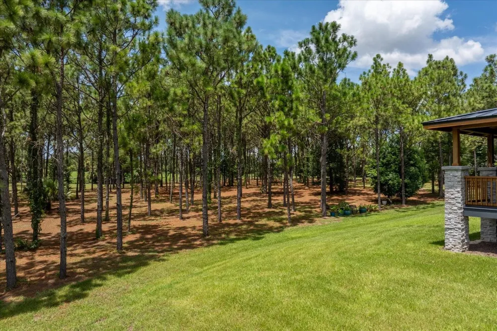 5208 EFFIE DRIVE Apopka, FL 32712