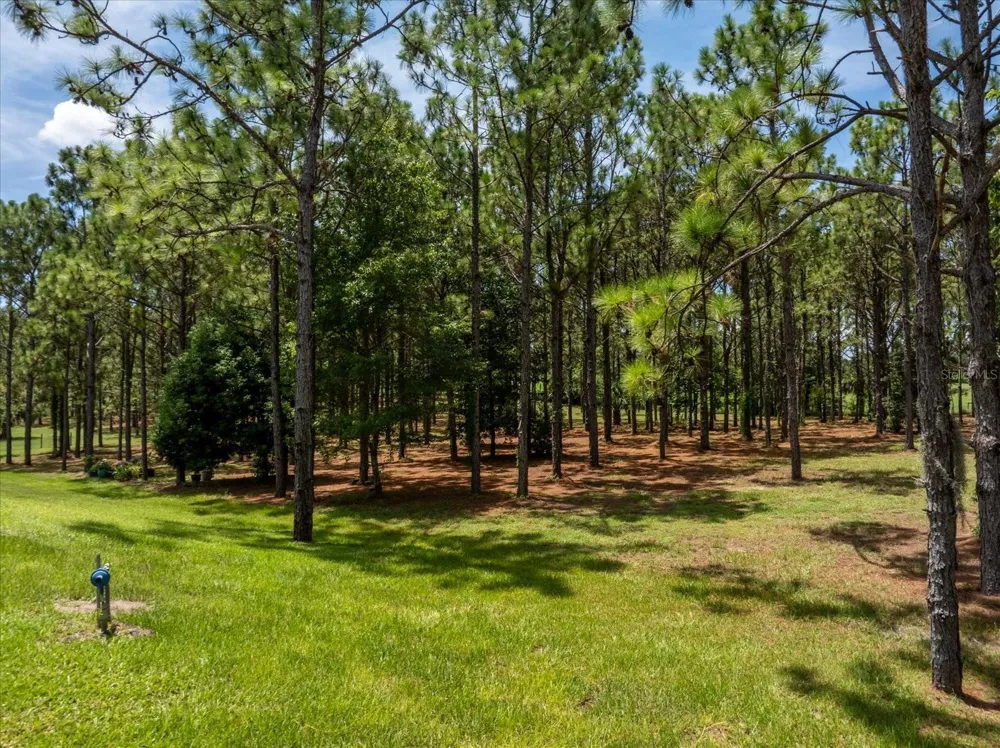 5208 EFFIE DRIVE Apopka, FL 32712