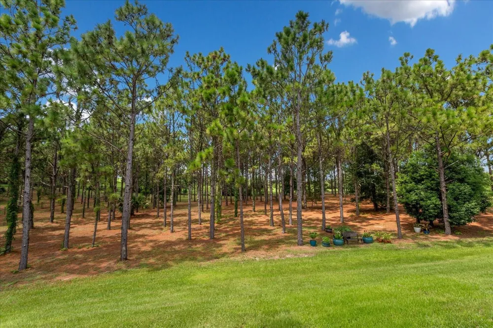 5208 EFFIE DRIVE Apopka, FL 32712