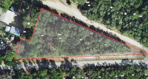 4114 E CAMP IZZARD PLACE