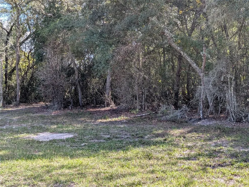 4114 E CAMP IZZARD PLACE Dunnellon, FL 34434