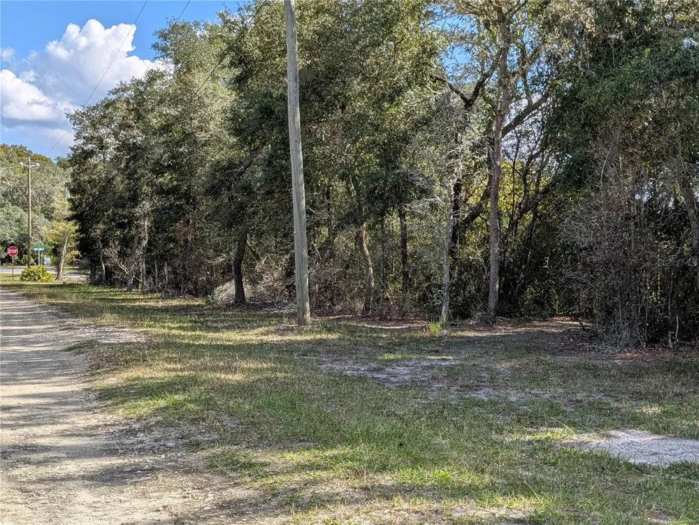 4114 E CAMP IZZARD PLACE Dunnellon, FL 34434