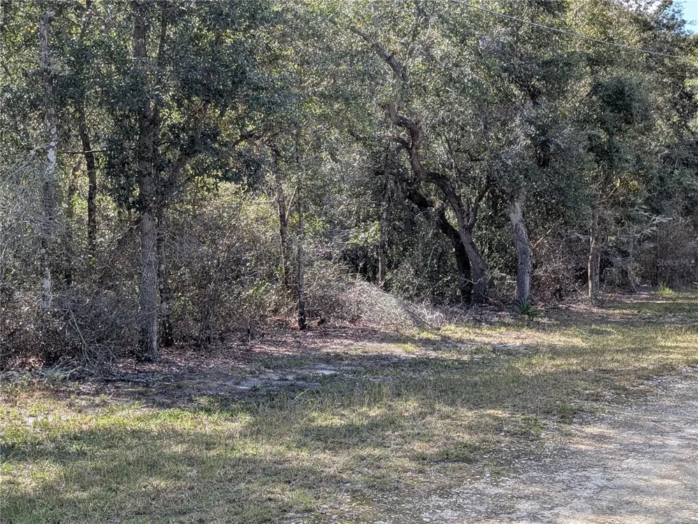4114 E CAMP IZZARD PLACE Dunnellon, FL 34434