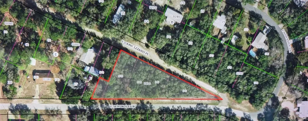 4114 E CAMP IZZARD PLACE Dunnellon, FL 34434