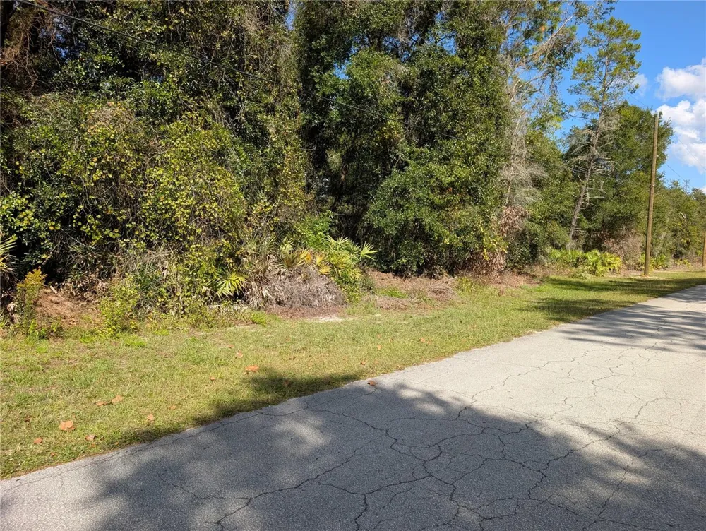 4114 E CAMP IZZARD PLACE Dunnellon, FL 34434