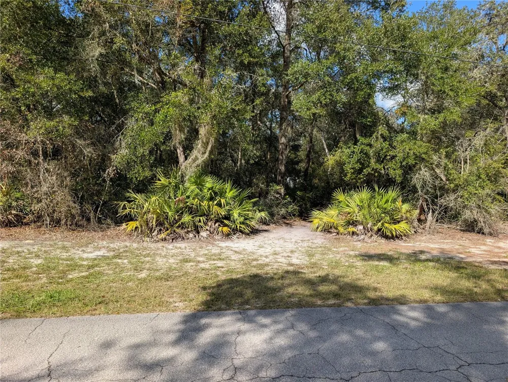 4114 E CAMP IZZARD PLACE Dunnellon, FL 34434