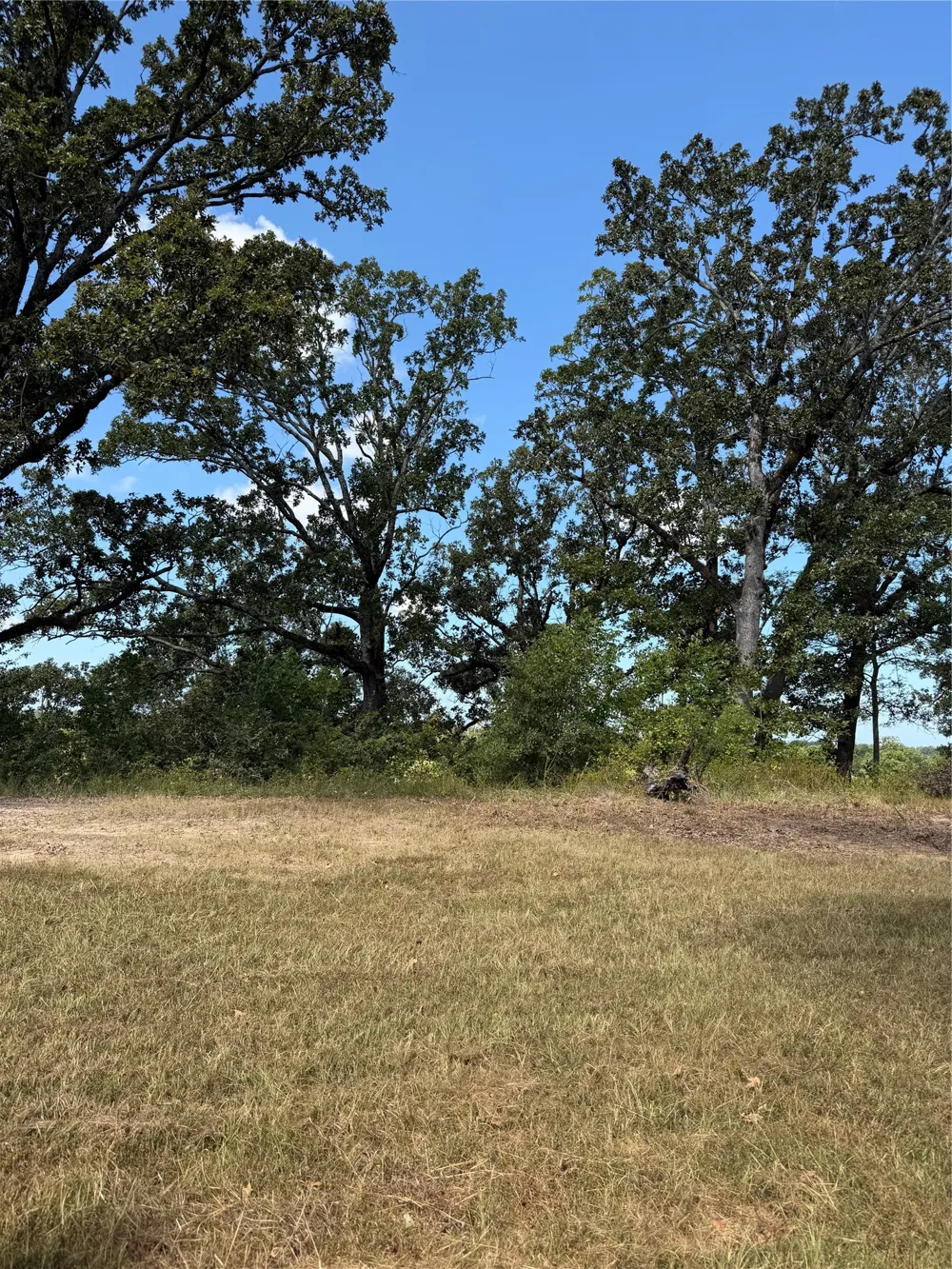 56 Golf Club Drive Haughton, LA 71037