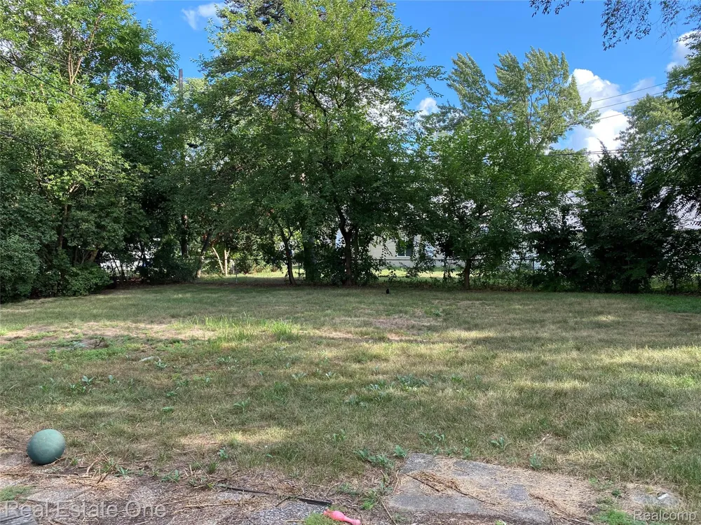 35437 Stellwagen Street Wayne City, MI 48184