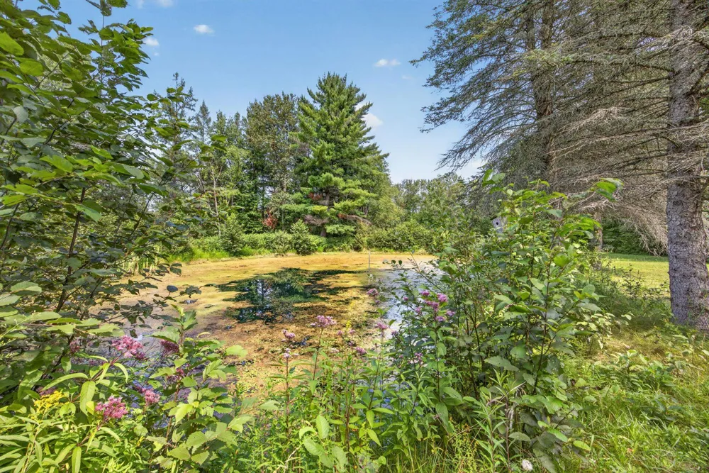 19706 20 Mile Road Burdell Township, MI 49688