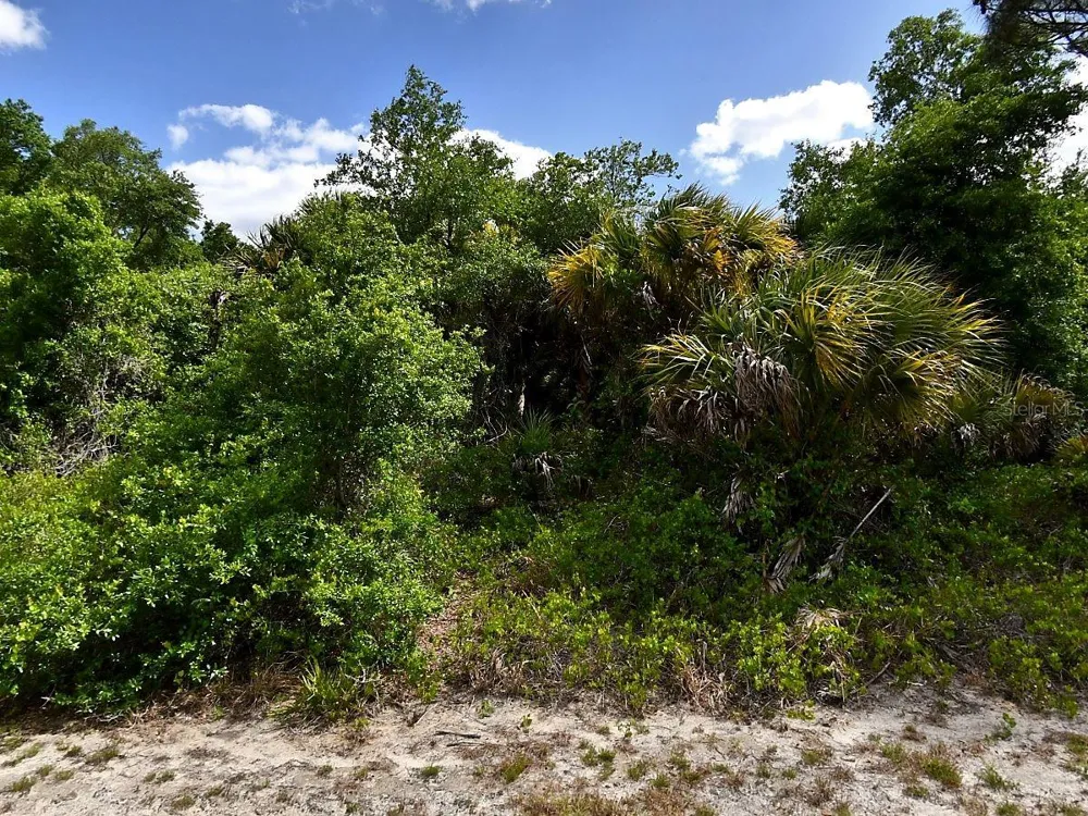 WHALING ROAD North Port, FL 34288