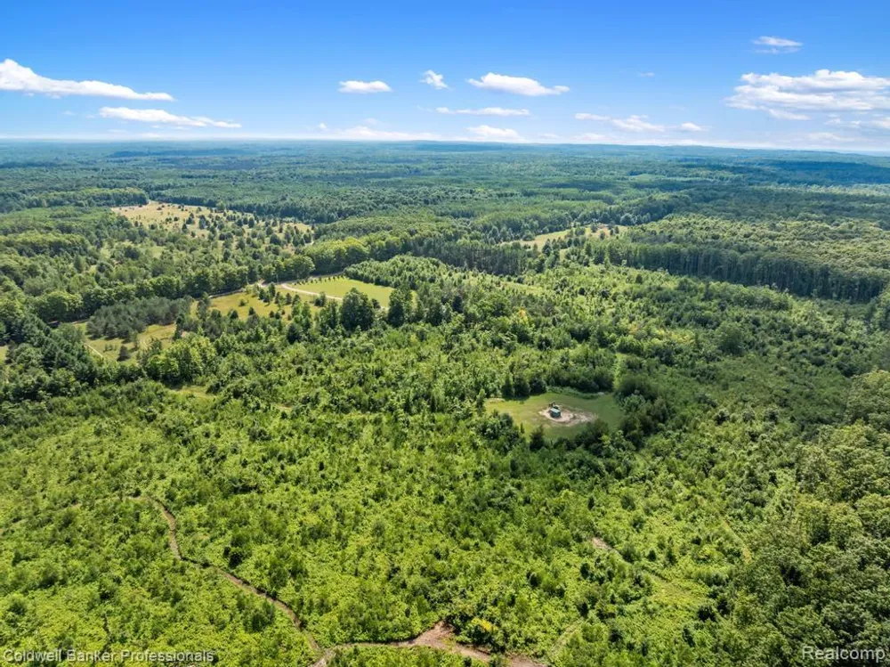 6389 Postlewait Road Mancelona Township, MI 49659