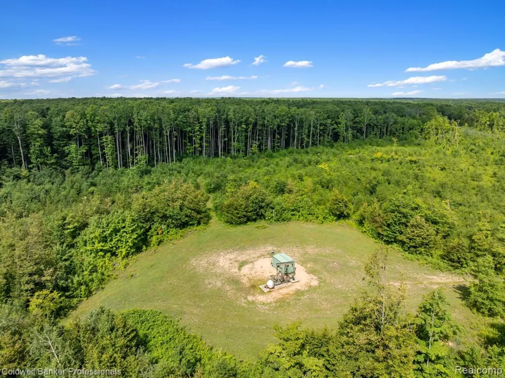 6389 Postlewait Road Mancelona Township, MI 49659