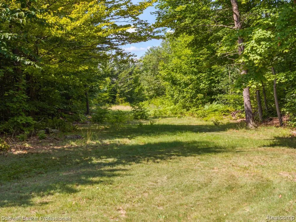 6389 Postlewait Road Mancelona Township, MI 49659
