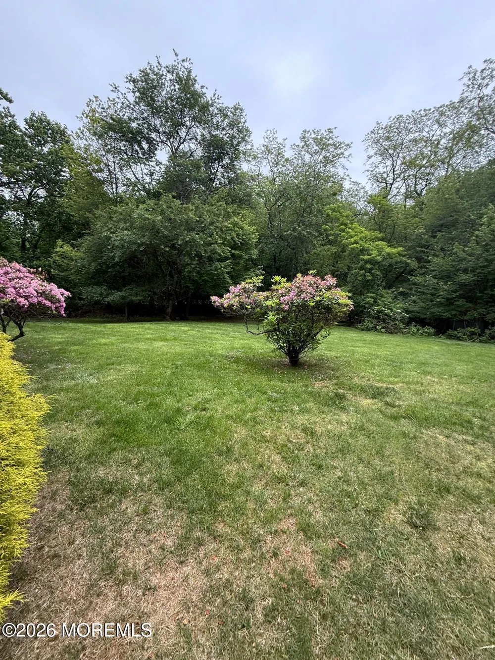 8 Delwood Drive Holmdel, NJ 07733
