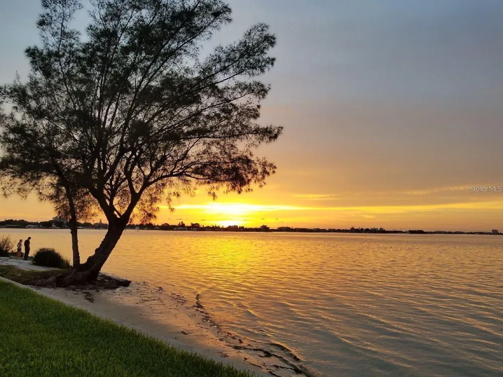 6210 SUN BOULEVARD #202 St Petersburg, FL 33715