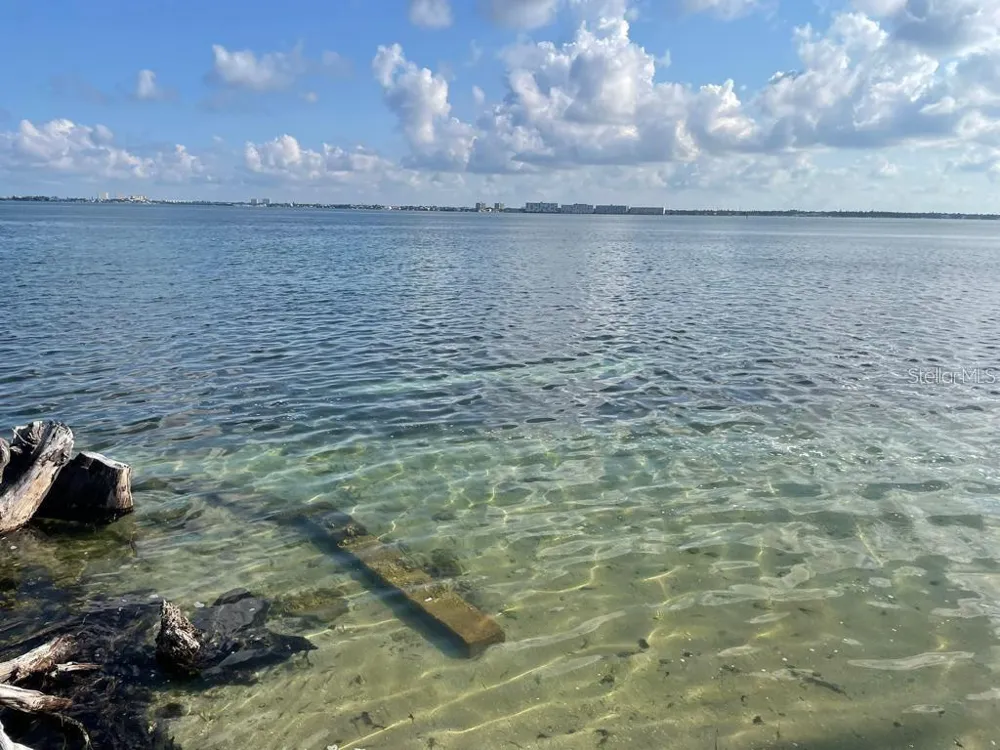 6210 SUN BOULEVARD #202 St Petersburg, FL 33715