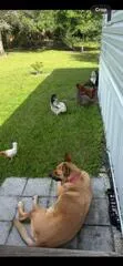 15136 NW 292nd Street Okeechobee, FL 34972
