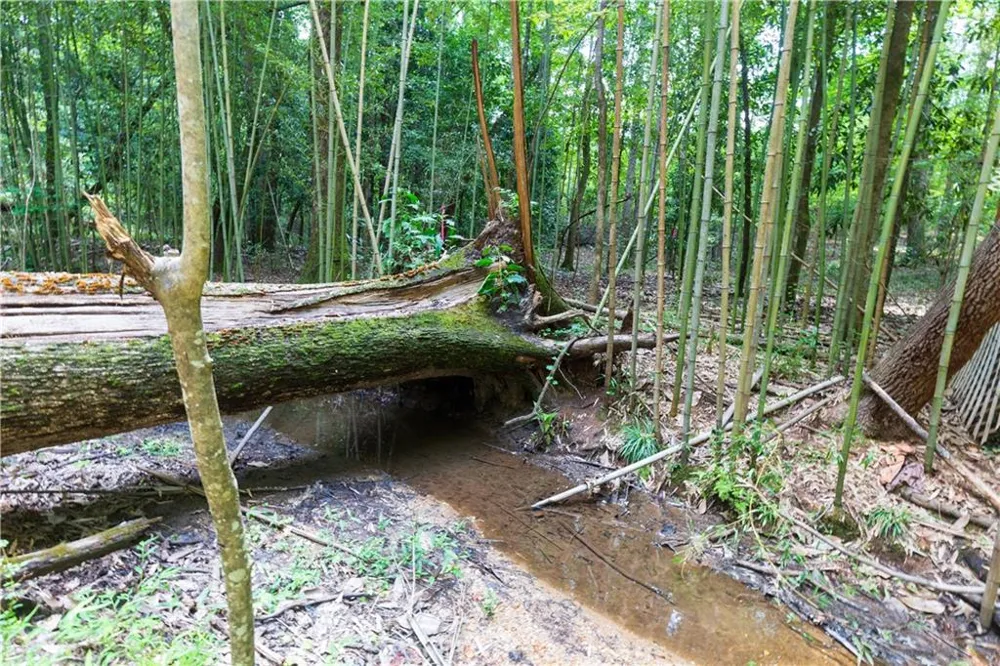 0 Roosevelt Highway Warm Springs, GA 31830