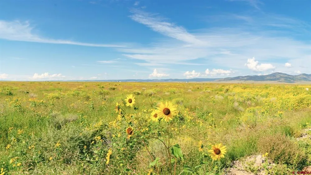 25980 County Road 6 La Jara, CO 81140