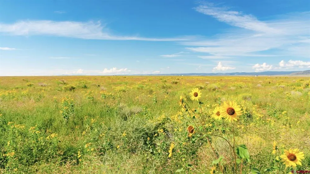 25980 County Road 6 La Jara, CO 81140