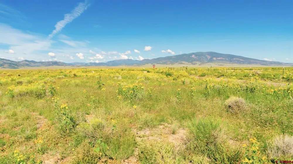 25980 County Road 6 La Jara, CO 81140