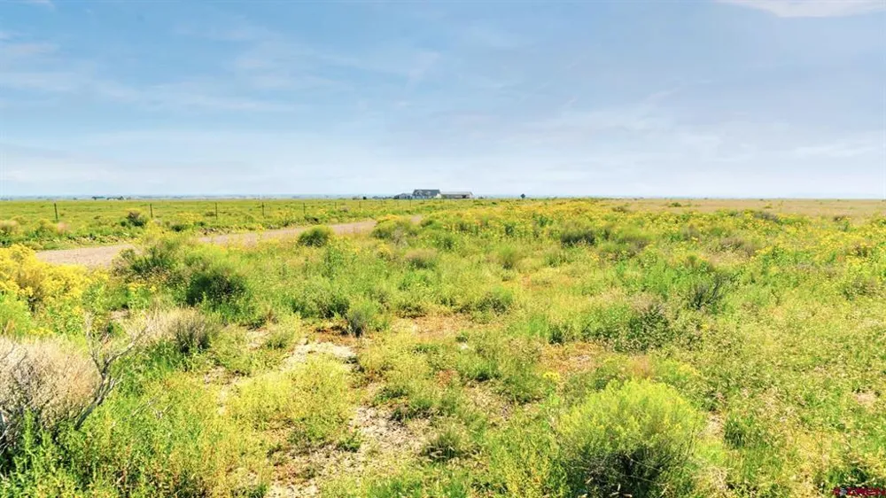 25980 County Road 6 La Jara, CO 81140
