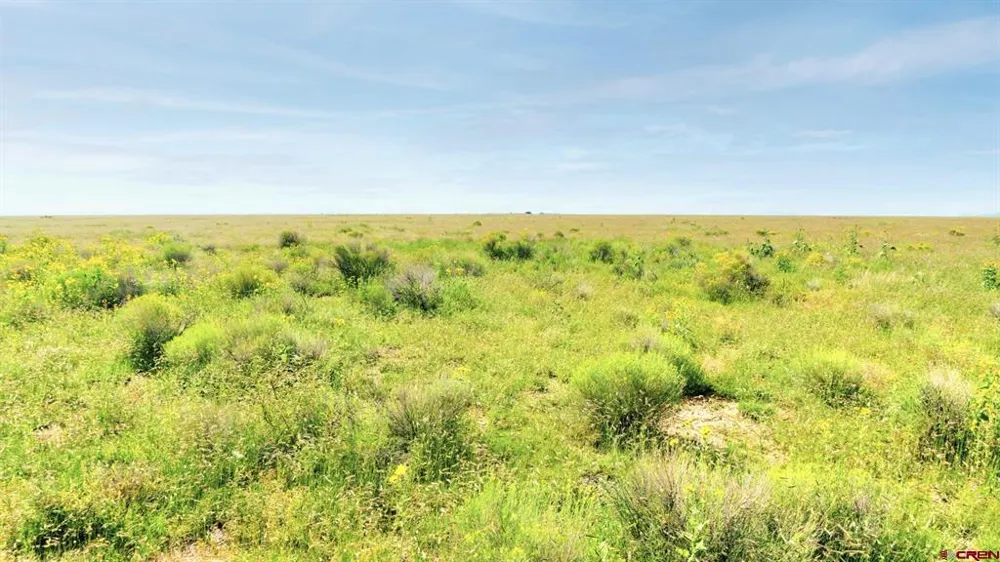 25980 County Road 6 La Jara, CO 81140