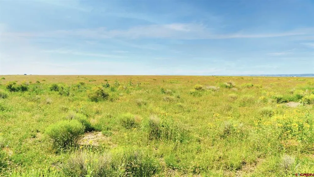 25980 County Road 6 La Jara, CO 81140