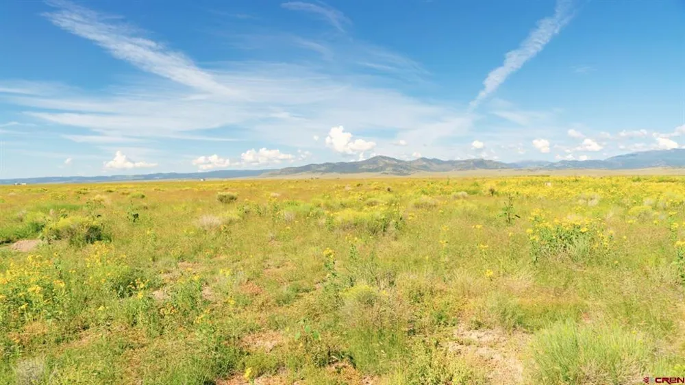 25980 County Road 6 La Jara, CO 81140