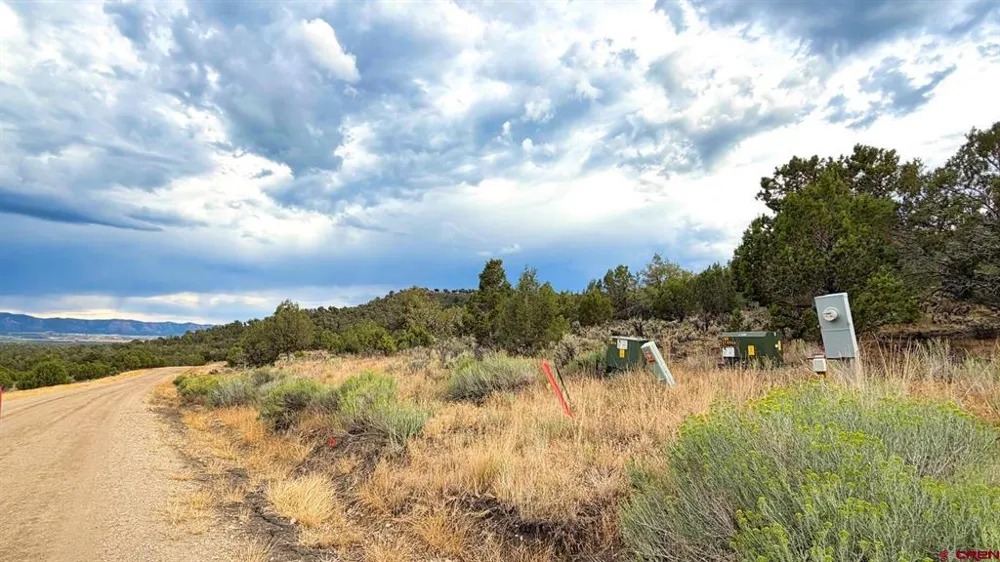 Road 35 Road Mancos, CO 81328