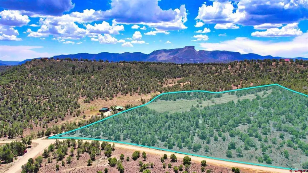 Road 35 Road Mancos, CO 81328