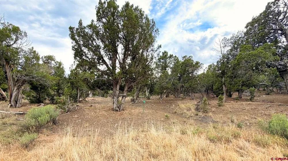 Road 35 Road Mancos, CO 81328